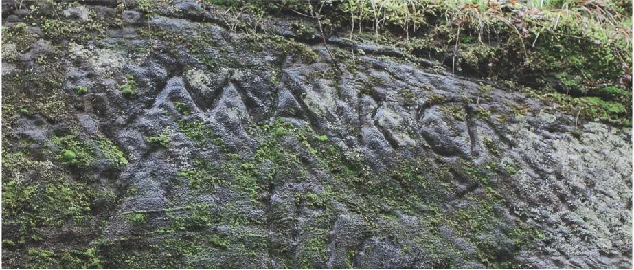 Abb 19Inschrift MARCI Des Marcus Name des römischen Steinbruchbetreibers - фото 26