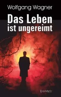 Wolfgang Wagner Das Leben ist ungereimt обложка книги