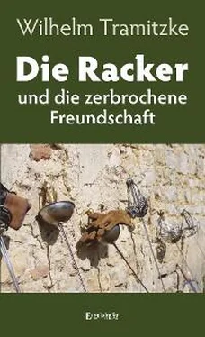 Wilhelm Tramitzke Die Racker und die zerbrochene Freundschaft обложка книги