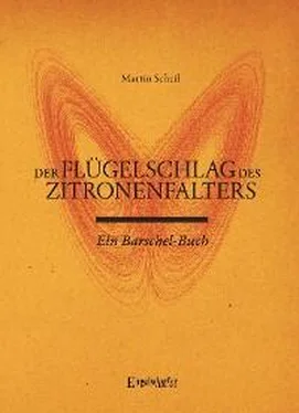 Martin Scheil Der Flügelschlag des Zitronenfalters обложка книги