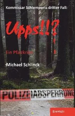 Michael Schlinck Upps!!? обложка книги