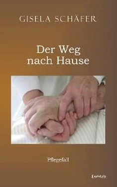 Gisela Schäfer Pflegefall – der Weg nach Hause обложка книги