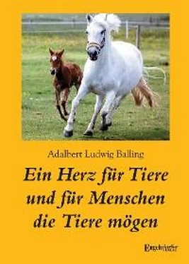 Adalbert Ludwig Balling Ein Herz für Tiere und für Menschen die Tiere mögen обложка книги