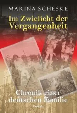 Marina Scheske Im Zwielicht der Vergangenheit обложка книги
