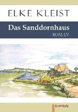 Elke Kleist Das Sanddornhaus обложка книги