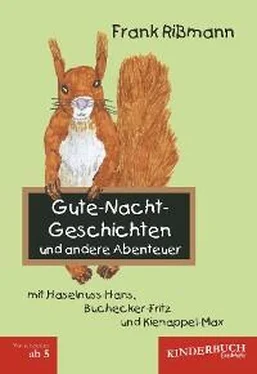 Frank Rißmann Gute-Nacht-Geschichten und andere Abenteuer mit Haselnuss-Hans, Buchecker-Fritz und Kienappel-Max обложка книги