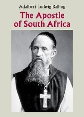 Adalbert Ludwig Balling The Apostle of South Africa обложка книги