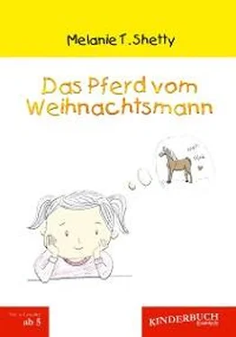 Melanie T. Shetty Das Pferd vom Weihnachtsmann обложка книги