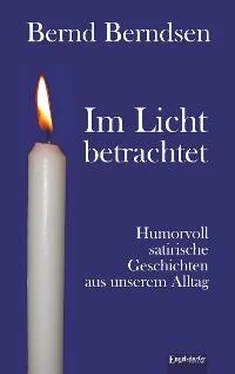 Bernd Berndsen Im Licht betrachtet обложка книги
