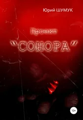Юрий Шумук - Проект «Сонора»