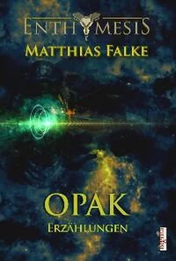 Matthias Falke Opak обложка книги