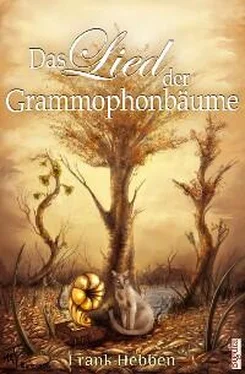 Frank Hebben Das Lied der Grammophonbäume обложка книги