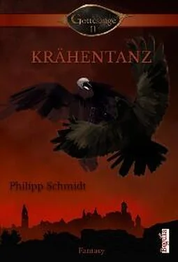 Philipp Schmidt Krähentanz обложка книги