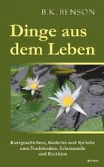 B.K. Benson - Dinge aus dem Leben
