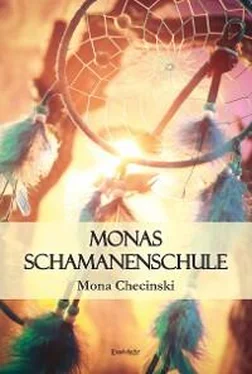 Mona Checinski Monas Schamanenschule обложка книги