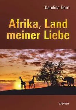 Carolina Dorn Afrika, Land meiner Liebe обложка книги