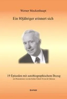 Werner Mockenhaupt Ein 80jähriger erinnert sich обложка книги