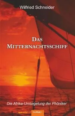 Wilfried Schneider Das Mitternachtsschiff обложка книги