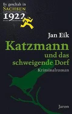 Jan Eik Katzmann und das schweigende Dorf обложка книги