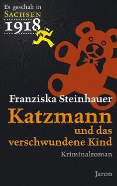 Franziska Steinhauer Katzmann und das verschwundene Kind обложка книги