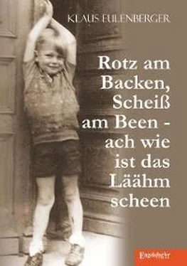 Klaus Eulenberger Rotz am Backen, Scheiß am Been - ach wie ist das Läähm scheen обложка книги