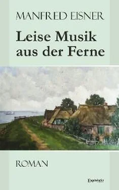 Manfred Eisner Leise Musik aus der Ferne обложка книги