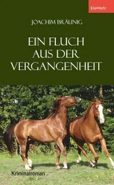 Joachim Bräunig Ein Fluch aus der Vergangenheit обложка книги