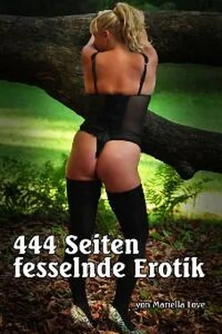 Mariella Love 444 Seiten fesselnde Erotik обложка книги