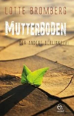 Lotte Bromberg Mutterboden обложка книги
