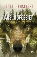 Lotte Bromberg - Auslaufgebiet