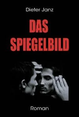 Dieter Janz Das Spiegelbild обложка книги