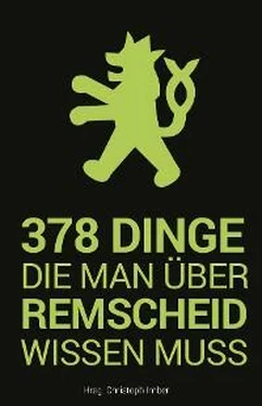 Неизвестный Автор 378 Dinge, die man über Remscheid wissen muss обложка книги