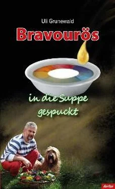 Uli Grunewald Bravourös in die Suppe gespuckt обложка книги