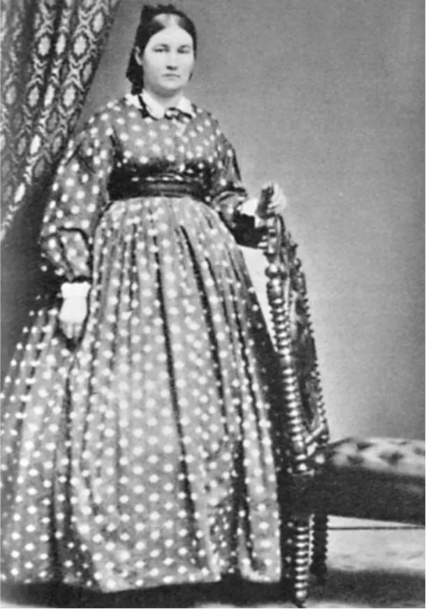 ABB 04 MARY VAUGHN CA 1855 Sehr gut Jungs Doch wir haben andere - фото 5