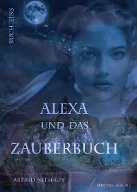 Astrid Seehaus Alexa und das Zauberbuch обложка книги