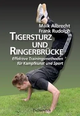 Frank Rudolph Tigersturz und Ringerbrücke обложка книги