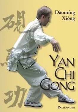 Frank Rudolph Yan Chi Gong обложка книги