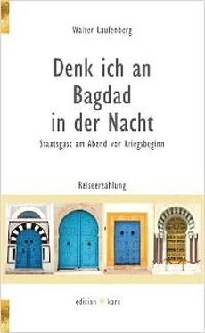 Walter Laufenberg Denk ich an Bagdad in der Nacht обложка книги