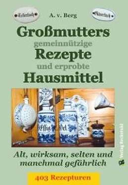 A.V. Berg Großmutters gemeinnützige Rezepte und erprobte Hausmittel обложка книги