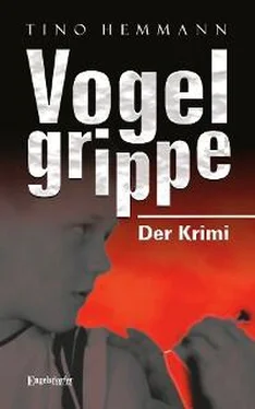 Tino Hemmann Vogelgrippe обложка книги