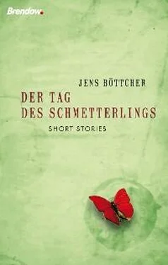 Jens Böttcher Der Tag des Schmetterlings обложка книги