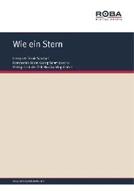 Dieter Lietz Wie ein Stern обложка книги