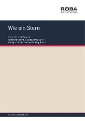 Dieter Lietz - Wie ein Stern