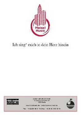 Peter Schaeffers Ich sing‘ mich in dein Herz hinein обложка книги