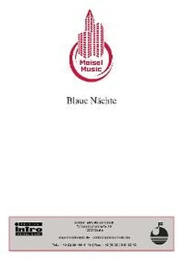 Martin Fischer Blaue Nächte обложка книги