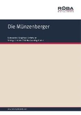 Siegfried Bethmann Die Münzenberger обложка книги