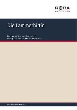 Siegfried Bethmann Die Lämmerhirtin обложка книги