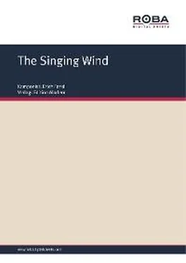 Erich Ferstl The Singing Wind обложка книги
