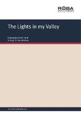 Erich Ferstl The Lights in my Valley обложка книги