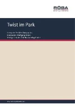 Wolfgang Kähne Twist im Park обложка книги